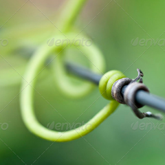 网页在线DDOS压力测试